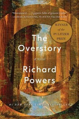 OVERSTORY