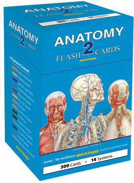 ANATOMY 2 FLASH CARDS